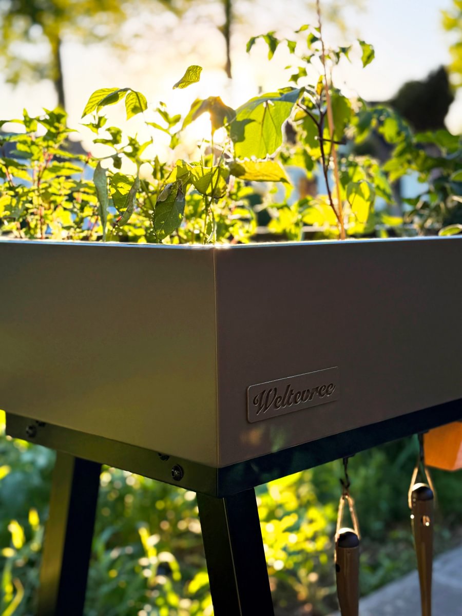 About Weltevree’s Gardenworks — and the art of showing a little love every day. 